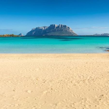 La Cala Apartment ออลเบีย ภายนอก รูปภาพ